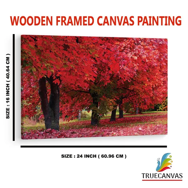 Multicolor_Maple_Tree,_Wooden_Framed_Canvas_Paintings_|_For_Home_Decor_|_Bedroom,_Living_Room,Wall_Decoration_|_Wall_Art_Painting,_Ct0816,_Size_16_X_24_In