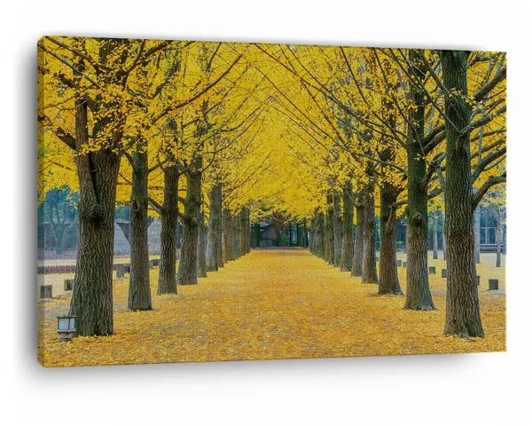 Multicolor_Nami_Island,_Wooden_Framed_Canvas_Paintings_|_For_Home_Decor_|_Bedroom,_Living_Room,Wall_Decoration_|_Wall_Art_Painting,_Ct0821,_Size_16_X_24_In