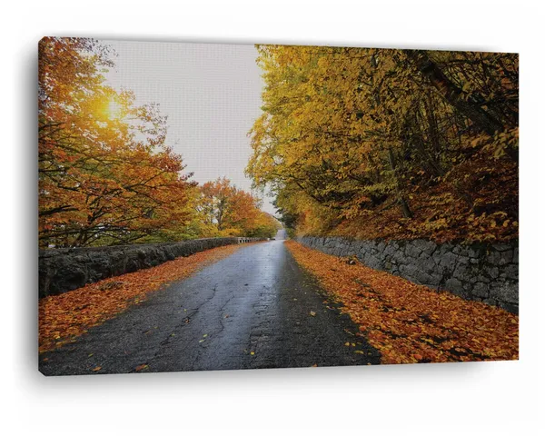 Multicolor_|_Forest_Road_Yellow_Tree_With_Sun,_Wooden_Framed_Canvas_Paintings_|_For_Home_Decor_|_Bedroom,_Living_Room,Wall_Decoration_|_Wall_Art_Painting,_Ct0822,_Size_16_X_24_In