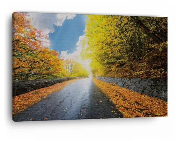 Multicolor_|_Forest_Road_Yellow_Tree_With_Sun,_Wooden_Framed_Canvas_Paintings_|_For_Home_Decor_|_Bedroom,_Living_Room,Wall_Decoration_|_Wall_Art_Painting,_Ct0823,_Size_16_X_24_In