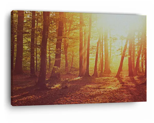 Multicolor_Nature,_|_Forest,_Fall,_Dappled_Sunlight,_Wooden_Framed_Canvas_Paintings_|_For_Home_Decor_|_Bedroom,_Living_Room,Wall_Decoration_|_Wall_Art_Painting,_Ct0824,_Size_16_X_24_In