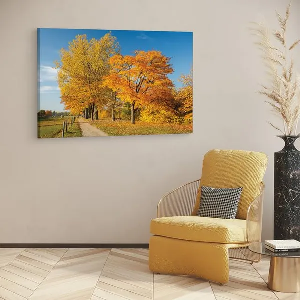 Multicolor_Autumn_Tree_Park_Colorful,_Wooden_Framed_Canvas_Paintings_|_For_Home_Decor_|_Bedroom,_Living_Room,Wall_Decoration_|_Wall_Art_Painting,_Ct0827,_Size_16_X_24_In