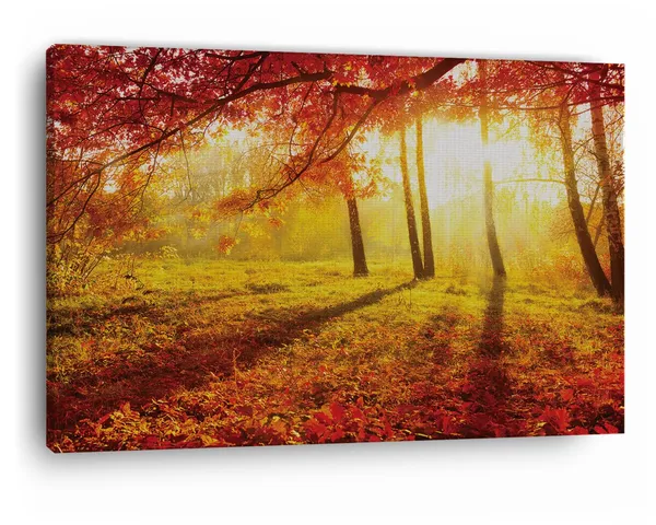 Multicolor_Abstract,_Wooden_Framed_Canvas_Paintings_|_For_Home_Decor_|_Bedroom,_Living_Room,Wall_Decoration_|_Wall_Art_Painting,_Ct0828,_Size_16_X_24_In