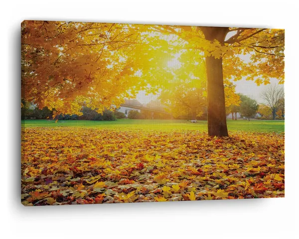 Multicolor_Sunny_Autumn_Foliage_Logo,_Wooden_Framed_Canvas_Paintings_|_For_Home_Decor_|_Bedroom,_Living_Room,Wall_Decoration_|_Wall_Art_Painting,_Ct0829,_Size_16_X_24_In