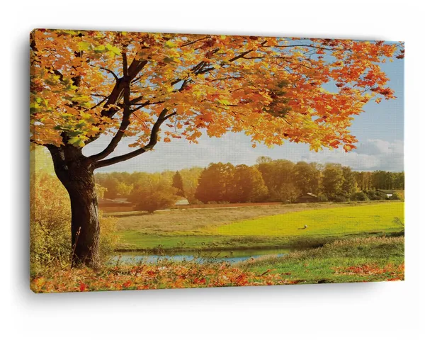 Multicolor_A_Beautiful_View_Of_Colorful,_Wooden_Framed_Canvas_Paintings_|_For_Home_Decor_|_Bedroom,_Living_Room,Wall_Decoration_|_Wall_Art_Painting,_Ct0832,_Size_16_X_24_In