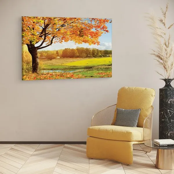 Multicolor_A_Beautiful_View_Of_Colorful,_Wooden_Framed_Canvas_Paintings_|_For_Home_Decor_|_Bedroom,_Living_Room,Wall_Decoration_|_Wall_Art_Painting,_Ct0832,_Size_16_X_24_In