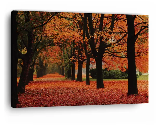 Multicolor_Autumn,_Leaves,_Wooden_Framed_Canvas_Paintings_|_For_Home_Decor_|_Bedroom,_Living_Room,Wall_Decoration_|_Wall_Art_Painting,_Ct0835,_Size_16_X_24_In