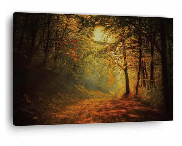 Multicolor_Riserva_Naturale_Orientata,_Wooden_Framed_Canvas_Paintings_|_For_Home_Decor_|_Bedroom,_Living_Room,Wall_Decoration_|_Wall_Art_Painting,_Ct0836,_Size_16_X_24_In