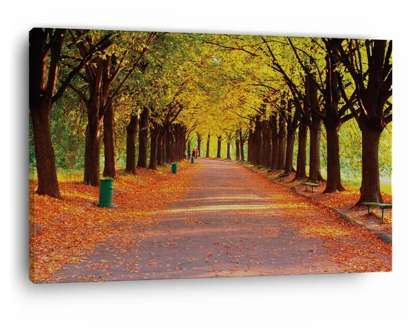 Multicolor_Autumn_In_Evening_Park,_Wooden_Framed_Canvas_Paintings_|_For_Home_Decor_|_Bedroom,_Living_Room,Wall_Decoration_|_Wall_Art_Painting,_Ct0837,_Size_16_X_24_In