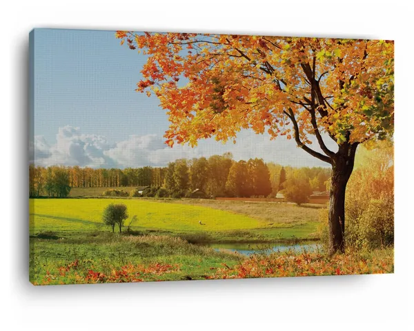 Multicolor_Beautiful_Tree,_Wooden_Framed_Canvas_Paintings_|_For_Home_Decor_|_Bedroom,_Living_Room,Wall_Decoration_|_Wall_Art_Painting,_Ct0838,_Size_16_X_24_In