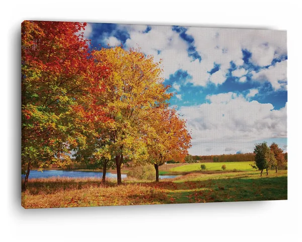 Multicolor_Autumn_Landscape,_Wooden_Framed_Canvas_Paintings_|_For_Home_Decor_|_Bedroom,_Living_Room,Wall_Decoration_|_Wall_Art_Painting,_Ct0839,_Size_16_X_24_In