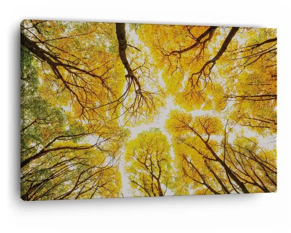 Multicolor_Abstract,_Wooden_Framed_Canvas_Paintings_|_For_Home_Decor_|_Bedroom,_Living_Room,Wall_Decoration_|_Wall_Art_Painting,_Ct0841,_Size_16_X_24_In
