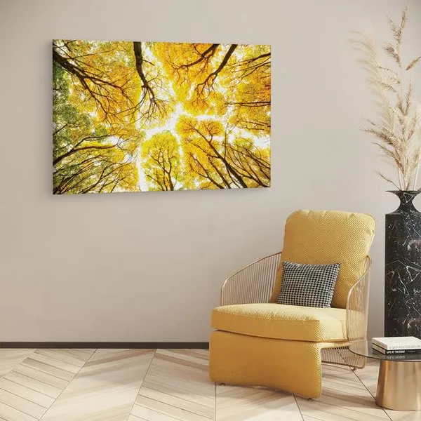 Multicolor_Abstract,_Wooden_Framed_Canvas_Paintings_|_For_Home_Decor_|_Bedroom,_Living_Room,Wall_Decoration_|_Wall_Art_Painting,_Ct0841,_Size_16_X_24_In