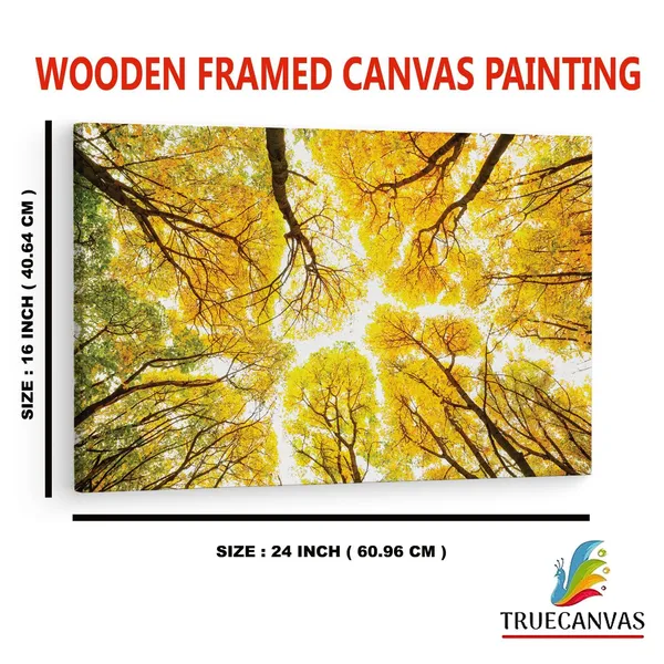 Multicolor_Abstract,_Wooden_Framed_Canvas_Paintings_|_For_Home_Decor_|_Bedroom,_Living_Room,Wall_Decoration_|_Wall_Art_Painting,_Ct0841,_Size_16_X_24_In