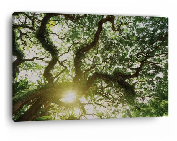 Multicolor_Abstract,_Wooden_Framed_Canvas_Paintings_|_For_Home_Decor_|_Bedroom,_Living_Room,Wall_Decoration_|_Wall_Art_Painting,_Ct0842,_Size_16_X_24_In