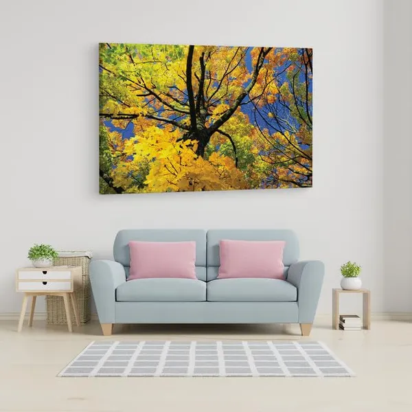 Multicolor_Abstract,_Wooden_Framed_Canvas_Paintings_|_For_Home_Decor_|_Bedroom,_Living_Room,Wall_Decoration_|_Wall_Art_Painting,_Ct0843,_Size_16_X_24_In