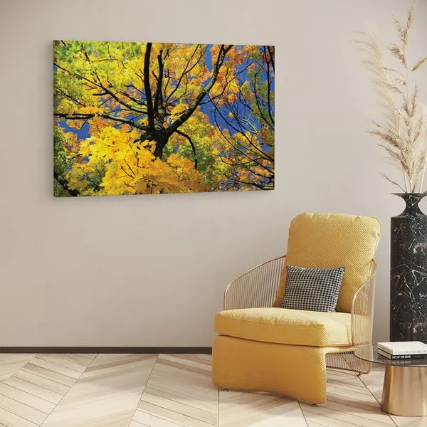 Multicolor_Abstract,_Wooden_Framed_Canvas_Paintings_|_For_Home_Decor_|_Bedroom,_Living_Room,Wall_Decoration_|_Wall_Art_Painting,_Ct0843,_Size_16_X_24_In