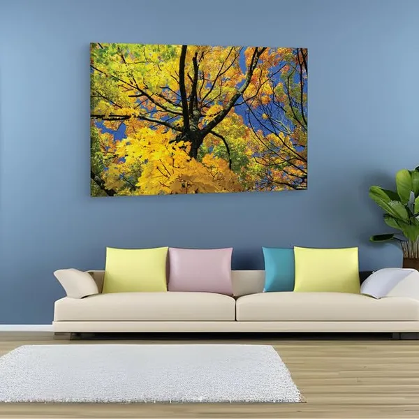 Multicolor_Abstract,_Wooden_Framed_Canvas_Paintings_|_For_Home_Decor_|_Bedroom,_Living_Room,Wall_Decoration_|_Wall_Art_Painting,_Ct0843,_Size_16_X_24_In