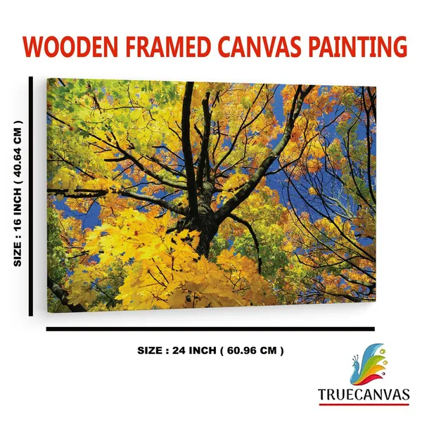 Multicolor_Abstract,_Wooden_Framed_Canvas_Paintings_|_For_Home_Decor_|_Bedroom,_Living_Room,Wall_Decoration_|_Wall_Art_Painting,_Ct0843,_Size_16_X_24_In