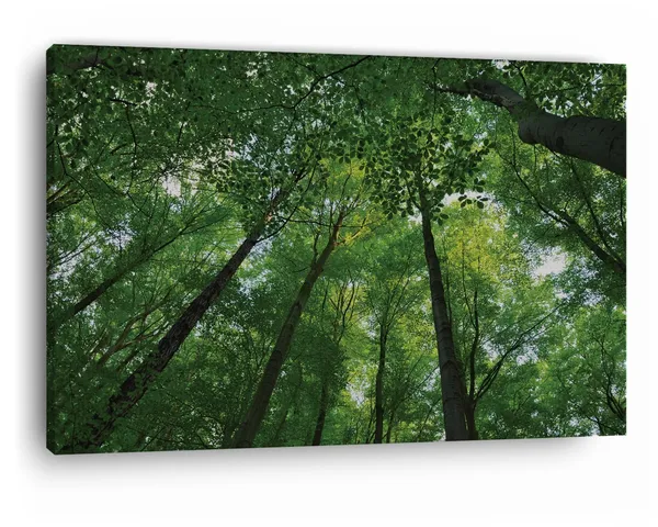 Multicolor_Abstract,_Wooden_Framed_Canvas_Paintings_|_For_Home_Decor_|_Bedroom,_Living_Room,Wall_Decoration_|_Wall_Art_Painting,_Ct0844,_Size_16_X_24_In
