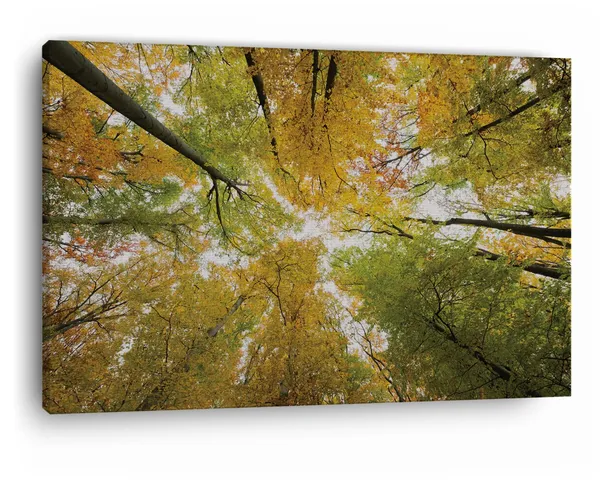Multicolor_Abstract,_Wooden_Framed_Canvas_Paintings_|_For_Home_Decor_|_Bedroom,_Living_Room,Wall_Decoration_|_Wall_Art_Painting,_Ct0845,_Size_16_X_24_In