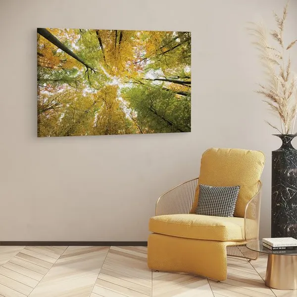Multicolor_Abstract,_Wooden_Framed_Canvas_Paintings_|_For_Home_Decor_|_Bedroom,_Living_Room,Wall_Decoration_|_Wall_Art_Painting,_Ct0845,_Size_16_X_24_In