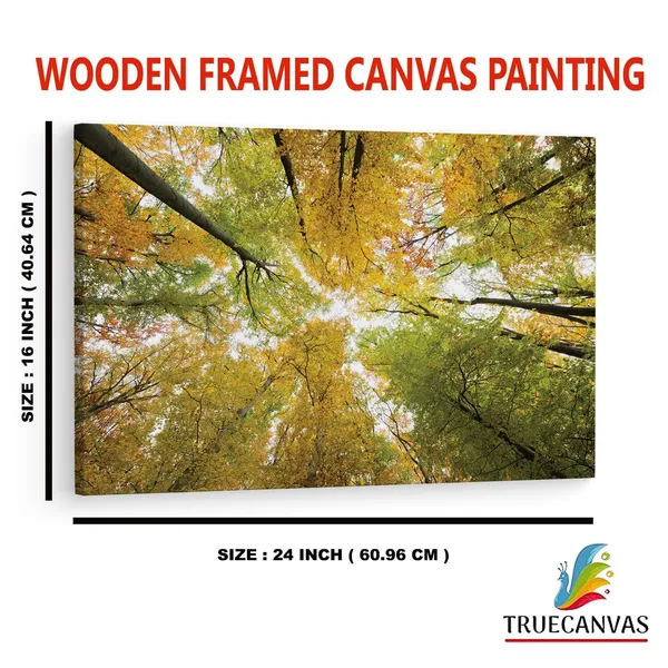 Multicolor_Abstract,_Wooden_Framed_Canvas_Paintings_|_For_Home_Decor_|_Bedroom,_Living_Room,Wall_Decoration_|_Wall_Art_Painting,_Ct0845,_Size_16_X_24_In