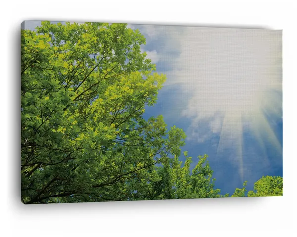 Multicolor_Spring_Green_Trees_And_Sunshine,_Wooden_Framed_Canvas_Paintings_|_For_Home_Decor_|_Bedroom,_Living_Room,Wall_Decoration_|_Wall_Art_Painting,_Ct0850,_Size_16_X_24_In