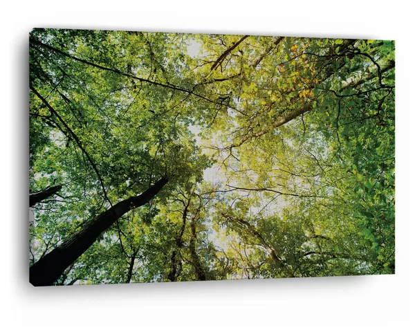 Multicolor_Abstract,_Wooden_Framed_Canvas_Paintings_|_For_Home_Decor_|_Bedroom,_Living_Room,Wall_Decoration_|_Wall_Art_Painting,_Ct0851,_Size_16_X_24_In