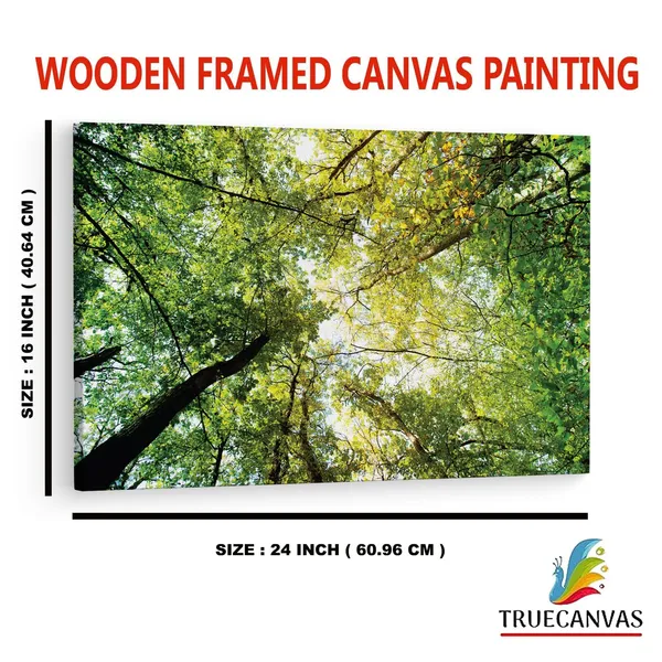 Multicolor_Abstract,_Wooden_Framed_Canvas_Paintings_|_For_Home_Decor_|_Bedroom,_Living_Room,Wall_Decoration_|_Wall_Art_Painting,_Ct0851,_Size_16_X_24_In