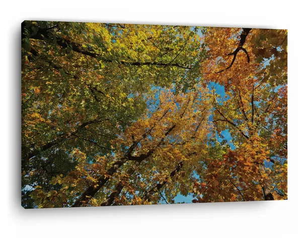 Multicolor_Abstract,_Wooden_Framed_Canvas_Paintings_|_For_Home_Decor_|_Bedroom,_Living_Room,Wall_Decoration_|_Wall_Art_Painting,_Ct0852,_Size_16_X_24_In