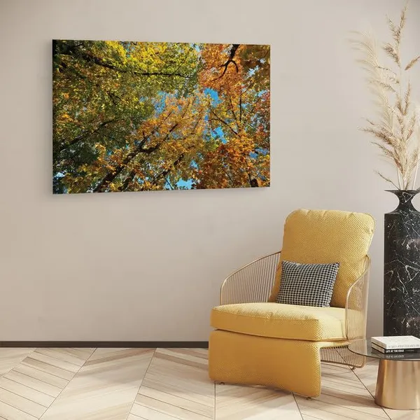 Multicolor_Abstract,_Wooden_Framed_Canvas_Paintings_|_For_Home_Decor_|_Bedroom,_Living_Room,Wall_Decoration_|_Wall_Art_Painting,_Ct0852,_Size_16_X_24_In
