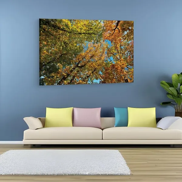 Multicolor_Abstract,_Wooden_Framed_Canvas_Paintings_|_For_Home_Decor_|_Bedroom,_Living_Room,Wall_Decoration_|_Wall_Art_Painting,_Ct0852,_Size_16_X_24_In