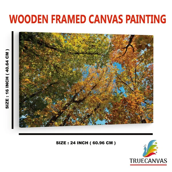 Multicolor_Abstract,_Wooden_Framed_Canvas_Paintings_|_For_Home_Decor_|_Bedroom,_Living_Room,Wall_Decoration_|_Wall_Art_Painting,_Ct0852,_Size_16_X_24_In