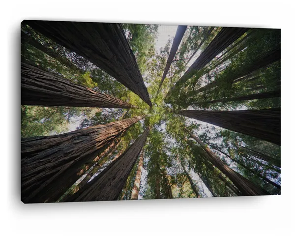 Multicolor_Abstract,_Wooden_Framed_Canvas_Paintings_|_For_Home_Decor_|_Bedroom,_Living_Room,Wall_Decoration_|_Wall_Art_Painting,_Ct0853,_Size_16_X_24_In
