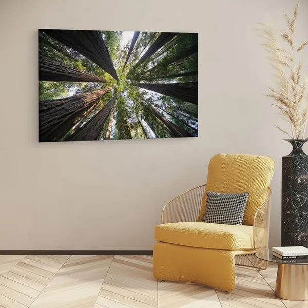 Multicolor_Abstract,_Wooden_Framed_Canvas_Paintings_|_For_Home_Decor_|_Bedroom,_Living_Room,Wall_Decoration_|_Wall_Art_Painting,_Ct0853,_Size_16_X_24_In