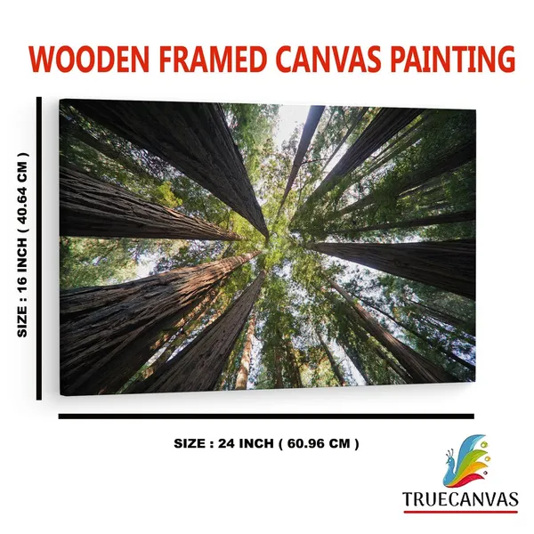 Multicolor_Abstract,_Wooden_Framed_Canvas_Paintings_|_For_Home_Decor_|_Bedroom,_Living_Room,Wall_Decoration_|_Wall_Art_Painting,_Ct0853,_Size_16_X_24_In