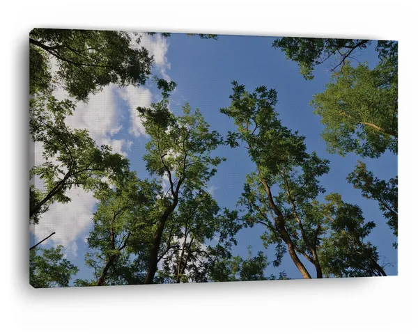 Multicolor_Green_Leaf_Tree_Under_Blue_Sky,_Wooden_Framed_Canvas_Paintings_|_For_Home_Decor_|_Bedroom,_Living_Room,Wall_Decoration_|_Wall_Art_Painting,_Ct0858,_Size_16_X_24_In