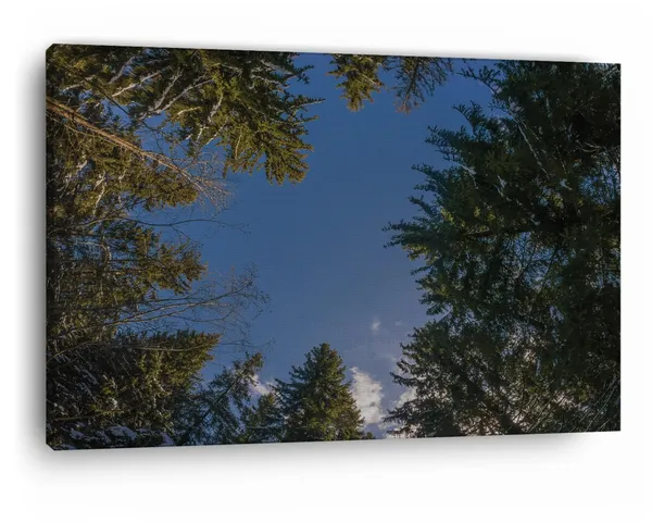 Multicolor_Grindelwald,_Trees,_Switzerland,_Wooden_Framed_Canvas_Paintings_|_For_Home_Decor_|_Bedroom,_Living_Room,Wall_Decoration_|_Wall_Art_Painting,_Ct0860,_Size_16_X_24_In