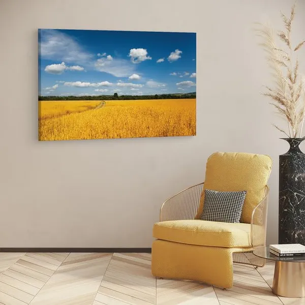 Multicolor_Abstract,_Wooden_Framed_Canvas_Paintings_|_For_Home_Decor_|_Bedroom,_Living_Room,Wall_Decoration_|_Wall_Art_Painting,_Ct0866,_Size_16_X_24_In