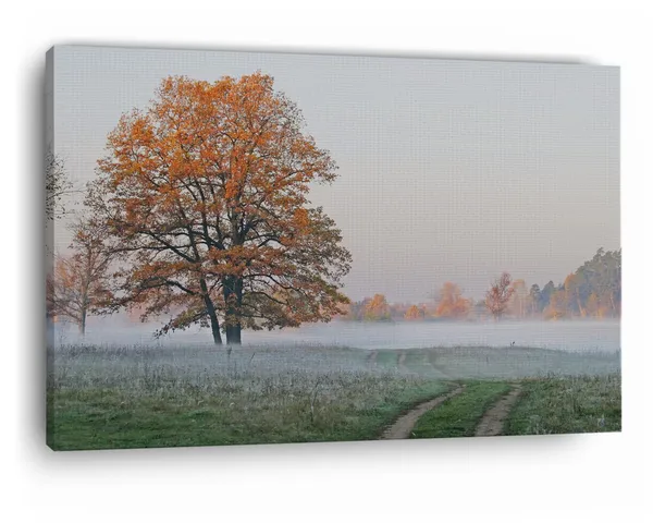 Multicolor_Early_Autumn,_Wooden_Framed_Canvas_Paintings_|_For_Home_Decor_|_Bedroom,_Living_Room,Wall_Decoration_|_Wall_Art_Painting,_Ct0888,_Size_16_X_24_In