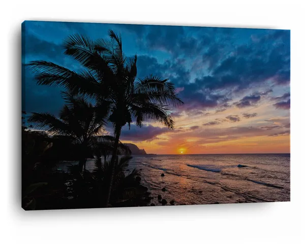 Multicolor_Coconut,_Wooden_Framed_Canvas_Paintings_|_For_Home_Decor_|_Bedroom,_Living_Room,Wall_Decoration_|_Wall_Art_Painting,_Ct0912,_Size_16_X_24_In