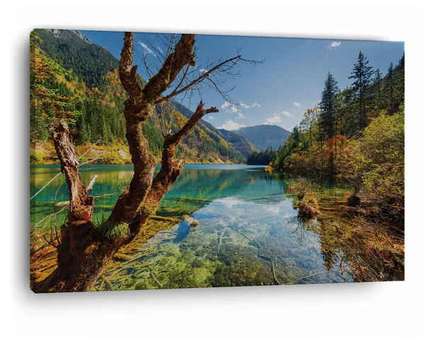 Multicolor_Arrow_Bamboo_Lake_Fall,_Wooden_Framed_Canvas_Paintings_|_For_Home_Decor_|_Bedroom,_Living_Room,Wall_Decoration_|_Wall_Art_Painting,_Ct0915,_Size_16_X_24_In
