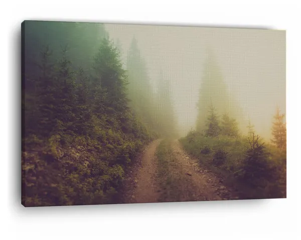 Multicolor_A_Pathway_In_The_|_Forest,_Wooden_Framed_Canvas_Paintings_|_For_Home_Decor_|_Bedroom,_Living_Room,Wall_Decoration_|_Wall_Art_Painting,_Ct0920,_Size_16_X_24_In