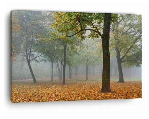 Multicolor_Custom_Mural,_Wooden_Framed_Canvas_Paintings_|_For_Home_Decor_|_Bedroom,_Living_Room,Wall_Decoration_|_Wall_Art_Painting,_Ct0924,_Size_16_X_24_In
