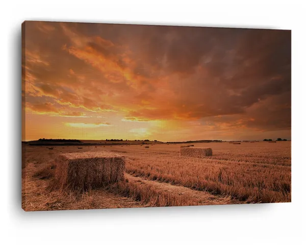 Multicolor_Hay_Bales_Sunset,_Wooden_Framed_Canvas_Paintings_|_For_Home_Decor_|_Bedroom,_Living_Room,Wall_Decoration_|_Wall_Art_Painting,_Ct0939,_Size_16_X_24_In