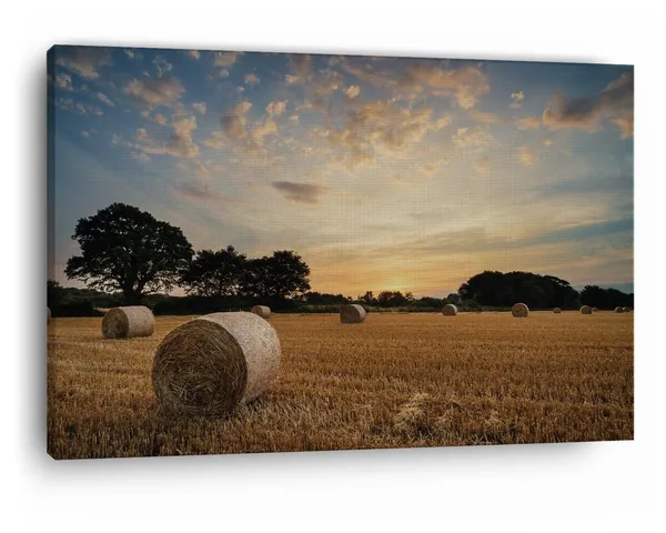 Multicolor_Hay_Bales,_Wooden_Framed_Canvas_Paintings_|_For_Home_Decor_|_Bedroom,_Living_Room,Wall_Decoration_|_Wall_Art_Painting,_Ct0947,_Size_16_X_24_In