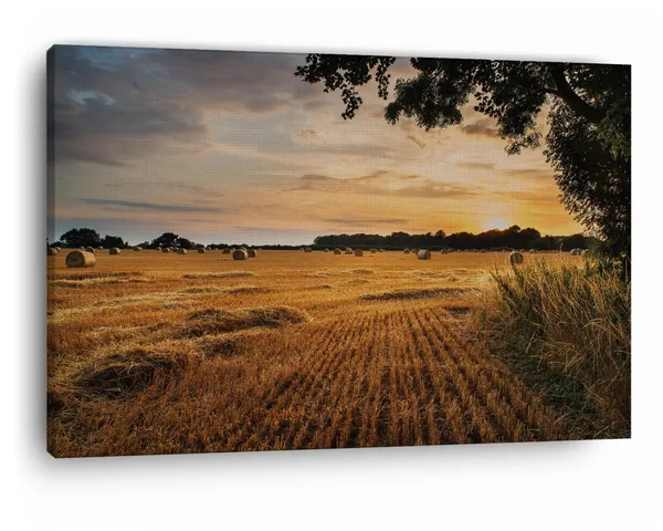Multicolor_Rural_Landscape_Image_Of_Summer,_Wooden_Framed_Canvas_Paintings_|_For_Home_Decor_|_Bedroom,_Living_Room,Wall_Decoration_|_Wall_Art_Painting,_Ct0948,_Size_16_X_24_In