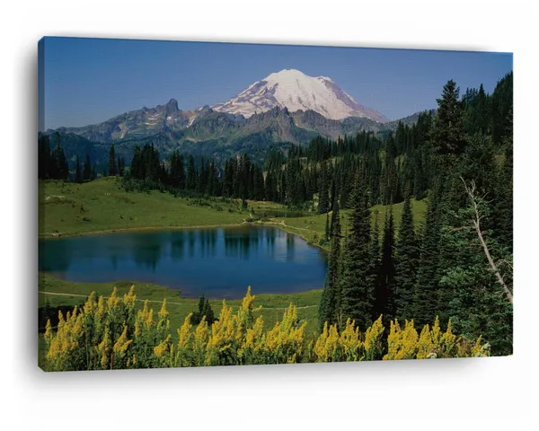 Multicolor_Mount_Rainier_National_Park,_Wooden_Framed_Canvas_Paintings_|_For_Home_Decor_|_Bedroom,_Living_Room,Wall_Decoration_|_Wall_Art_Painting,_Ct0954,_Size_16_X_24_In