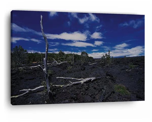 Multicolor_Barren_Land,_Wooden_Framed_Canvas_Paintings_|_For_Home_Decor_|_Bedroom,_Living_Room,Wall_Decoration_|_Wall_Art_Painting,_Ct0958,_Size_16_X_24_In